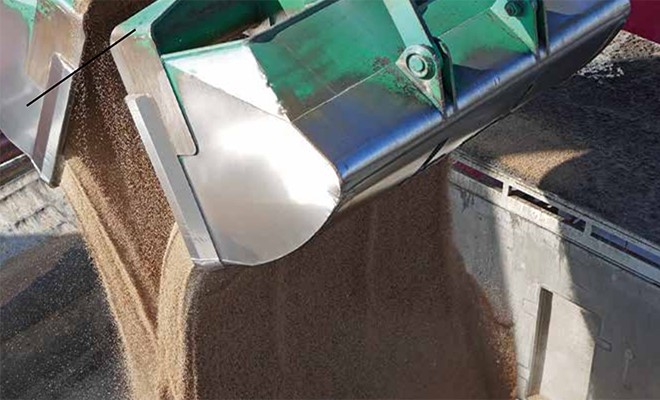 I prodotti agroalimentari trainano il porto